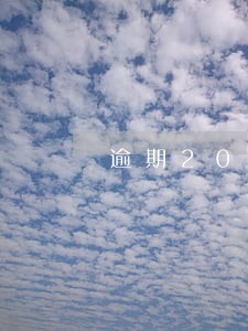 逾期20天被诉讼 逾期20天被诉讼