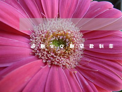 逾期20期贷款利率 逾期20期贷款利率