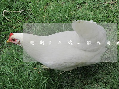 逾期20次_能买房吗