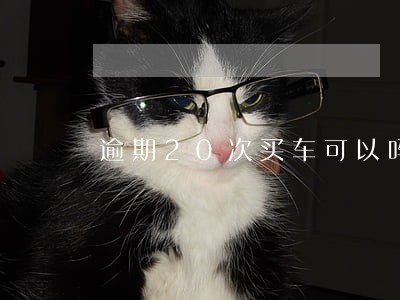 逾期20次买车可以吗 逾期20次买车可以吗