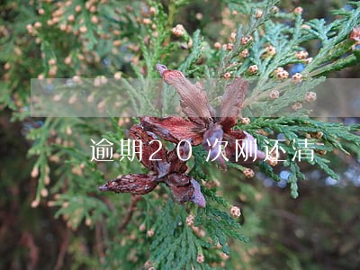 逾期20次刚还清 逾期20次刚还清