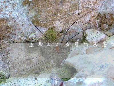 逾期20次可以买房吗