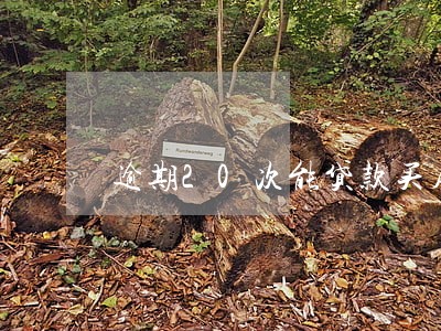 逾期20次能贷款买房吗 逾期20次能贷款买房吗