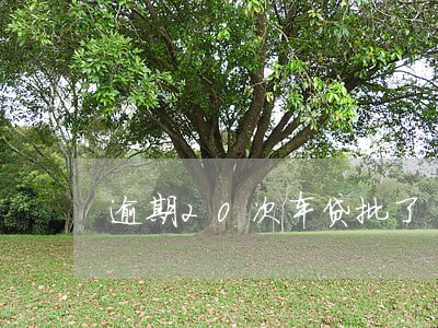 逾期20次车贷批了 逾期20次车贷批了
