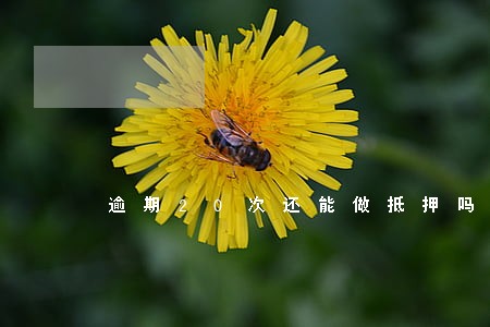 逾期20次还能做抵押吗 逾期20次还能做抵押吗