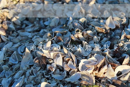 逾期20次还能贷款买房吗 逾期20次还能贷款买房吗