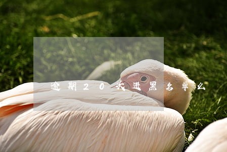 逾期20次进黑名单么 逾期20次进黑名单么
