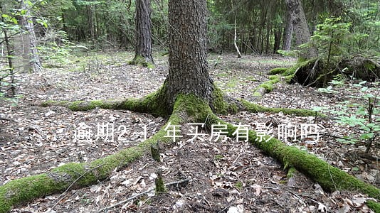 逾期21年买房有影响吗 逾期21年买房有影响吗