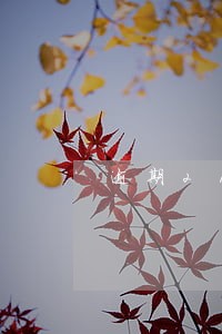 逾期21条算不良信用吗 逾期21条算不良信用吗