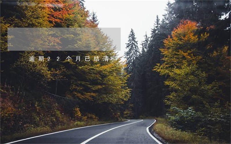 逾期22个月已结清 逾期22个月已结清