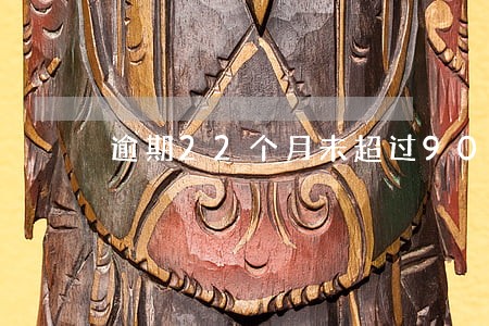 逾期22个月未超过90天 逾期22个月未超过90天