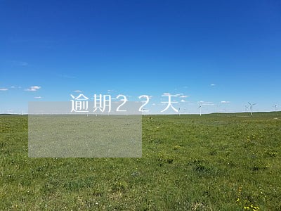 逾期22天 逾期22天