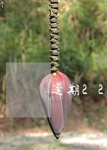 逾期22天还账单 逾期22天还账单