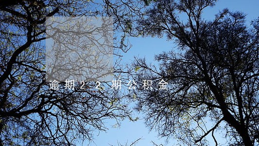 逾期22期公积金 逾期22期公积金