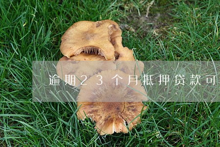 逾期23个月抵押贷款可以办理吗 逾期23个月抵押贷款可以办理吗