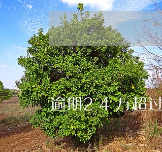 逾期24万超过三个月 逾期24万超过三个月