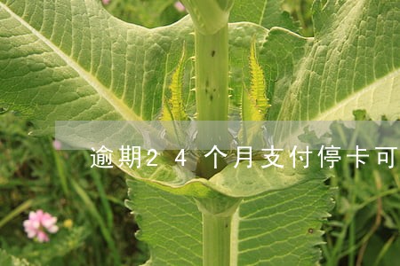 逾期24个月支付停卡可以解封吗 逾期24个月支付停卡可以解封吗
