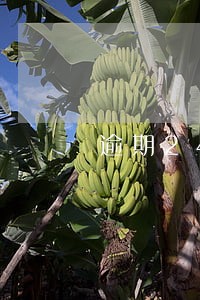 逾期24个月记录怎么查询