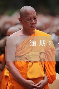逾期24小时怎么查征信 逾期24小时怎么查征信