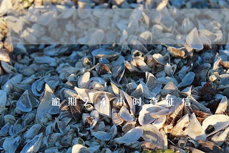 逾期24小时查征信 逾期24小时查征信