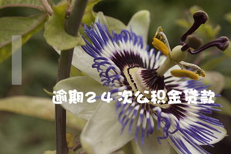 逾期24次公积金贷款 逾期24次公积金贷款