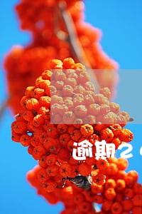 逾期24次能贷款公积金吗 逾期24次能贷款公积金吗