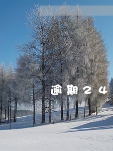 逾期24次还能贷款买房吗 逾期24次还能贷款买房吗