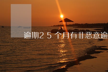 逾期25个月有非恶意逾期证明 逾期25个月有非恶意逾期证明
