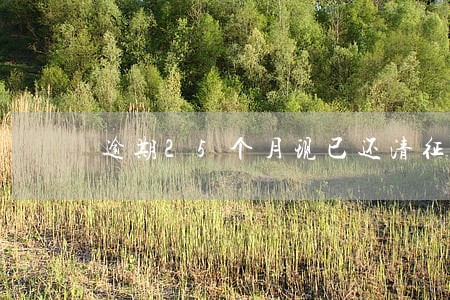 逾期25个月现已还清征信怎么办 逾期25个月现已还清征信怎么办