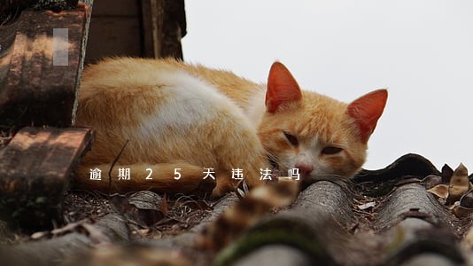 逾期25天违法吗 逾期25天违法吗