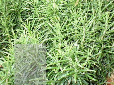 逾期25月想贷款买房子怎么办 逾期25月想贷款买房子怎么办