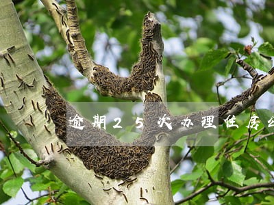 逾期25次办理住房公积金 逾期25次办理住房公积金