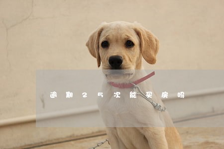 逾期25次能买房吗 逾期25次能买房吗