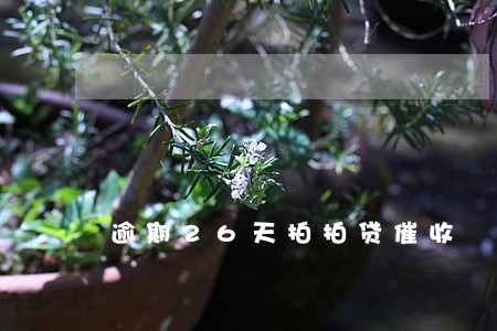 逾期26天拍拍贷催收 逾期26天拍拍贷催收