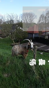 逾期26天突然不打电话了 逾期26天突然不打电话了
