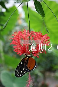 逾期26次还了三年了还能贷款吗 逾期26次还了三年了还能贷款吗