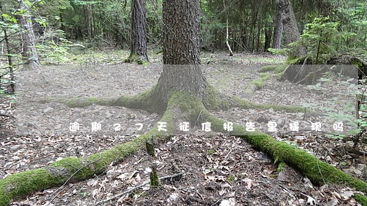 逾期27天征信报告里提现吗 逾期27天征信报告里提现吗