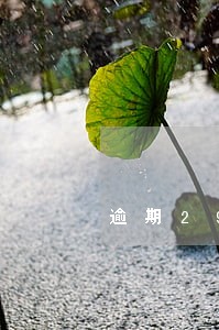 逾期29次交担保费能不能办贷款 逾期29次交担保费能不能办贷款