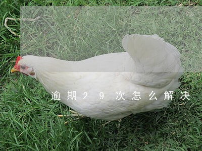 逾期29次怎么解决 逾期29次怎么解决