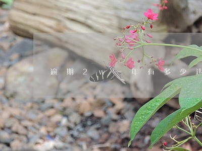 逾期2w一年有多少违约金 逾期2w一年有多少违约金