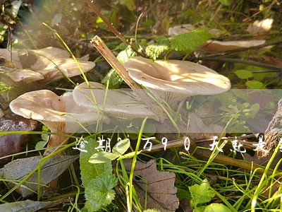 逾期2万90天就是黑户了吗 逾期2万90天就是黑户了吗