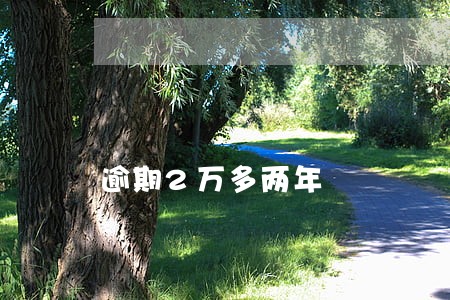 逾期2万多两年 逾期2万多两年