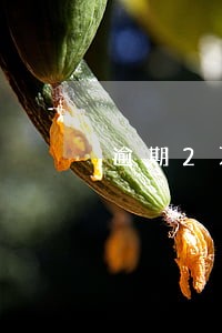 逾期2万结清能办房贷吗 逾期2万结清能办房贷吗