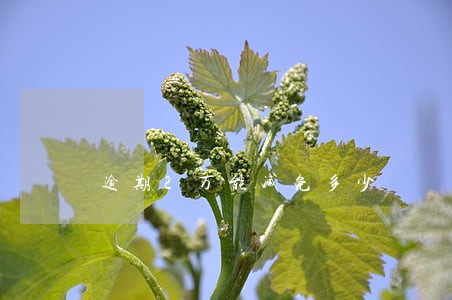 逾期2万能减免多少 逾期2万能减免多少