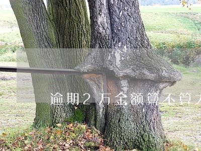 逾期2万金额算不算大 逾期2万金额算不算大