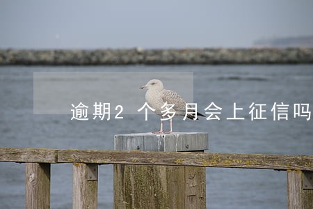 逾期2个多月会上征信吗 逾期2个多月会上征信吗