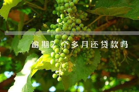 逾期2个多月还贷款吗 逾期2个多月还贷款吗