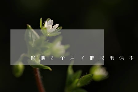 逾期2个月了催收电话不接 逾期2个月了催收电话不接