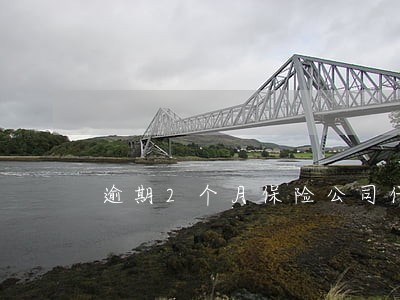 逾期2个月保险公司代偿我怎么办 逾期2个月保险公司代偿我怎么办