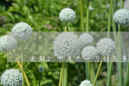 逾期2个月共一万利息多少 逾期2个月共一万利息多少